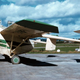 (Flyernzl)